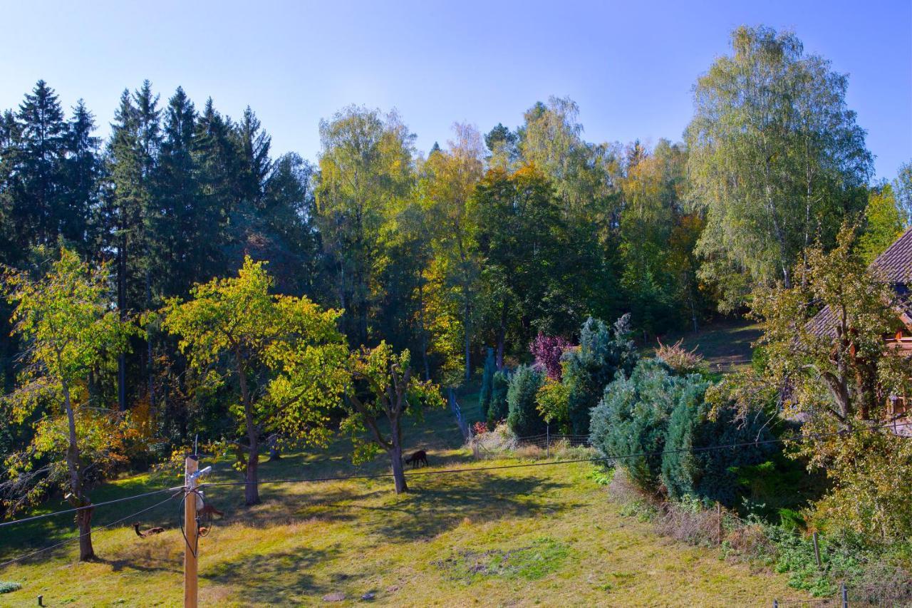Pension Haus Fuerstenberg Beierfeld Kültér fotó