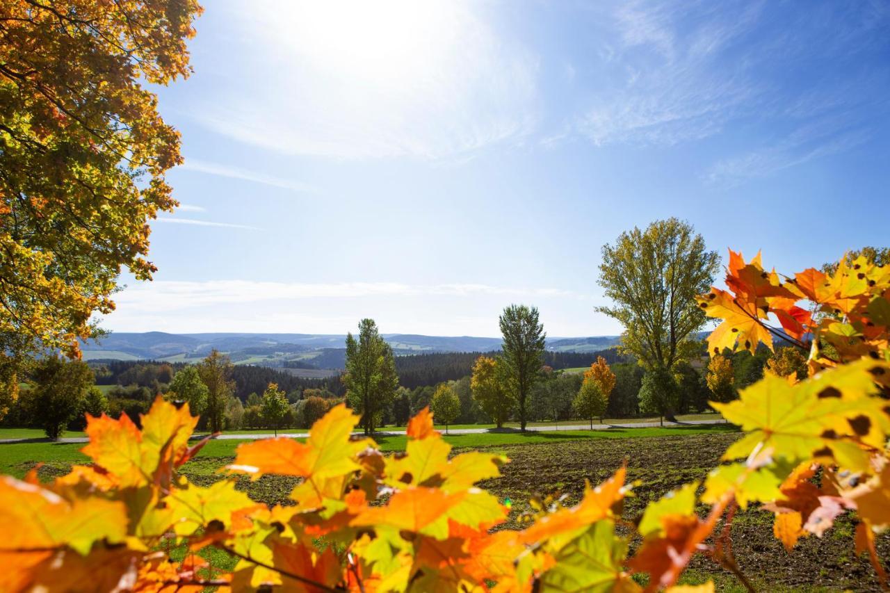 Pension Haus Fuerstenberg Beierfeld Kültér fotó